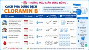 CÁCH PHA DUNG DỊCH CLORAMIN B